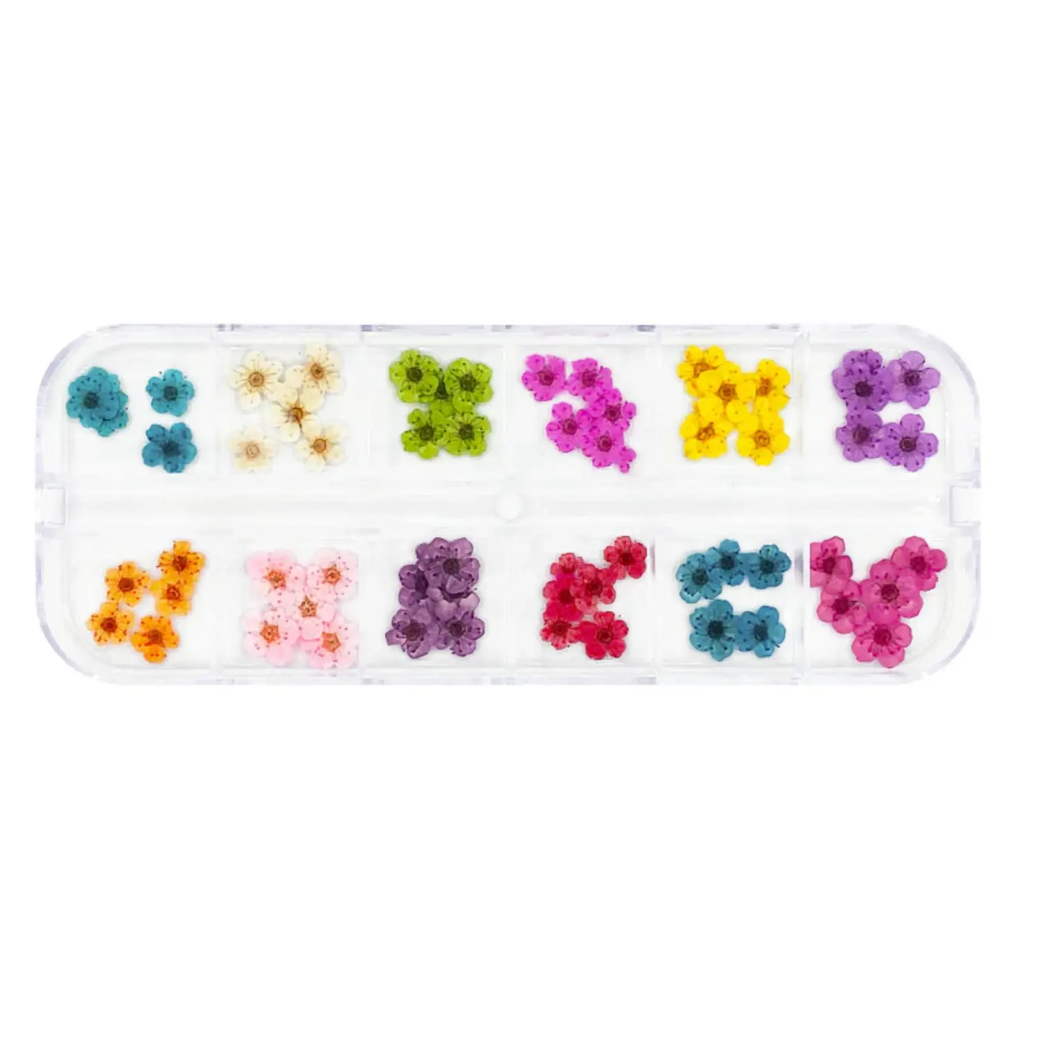 Pressed Dry Natural Petal Flower Set