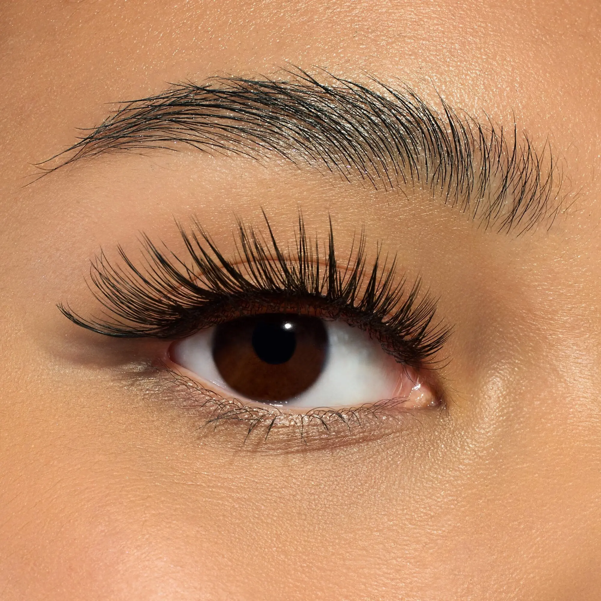 Cateyes! False Lashes 01 Catwalk - Image 7