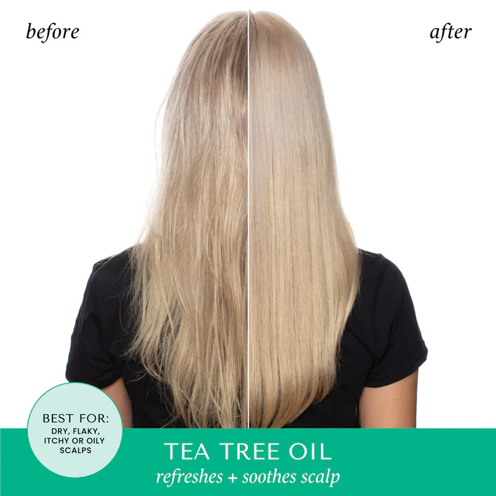 Tea Tree Oil &amp; Rosemary Invigorating Shampoo - Image 2